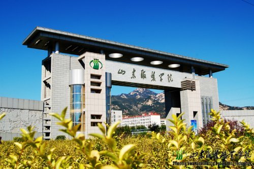 山东服装职业学院、诚邀区域代理合作招生