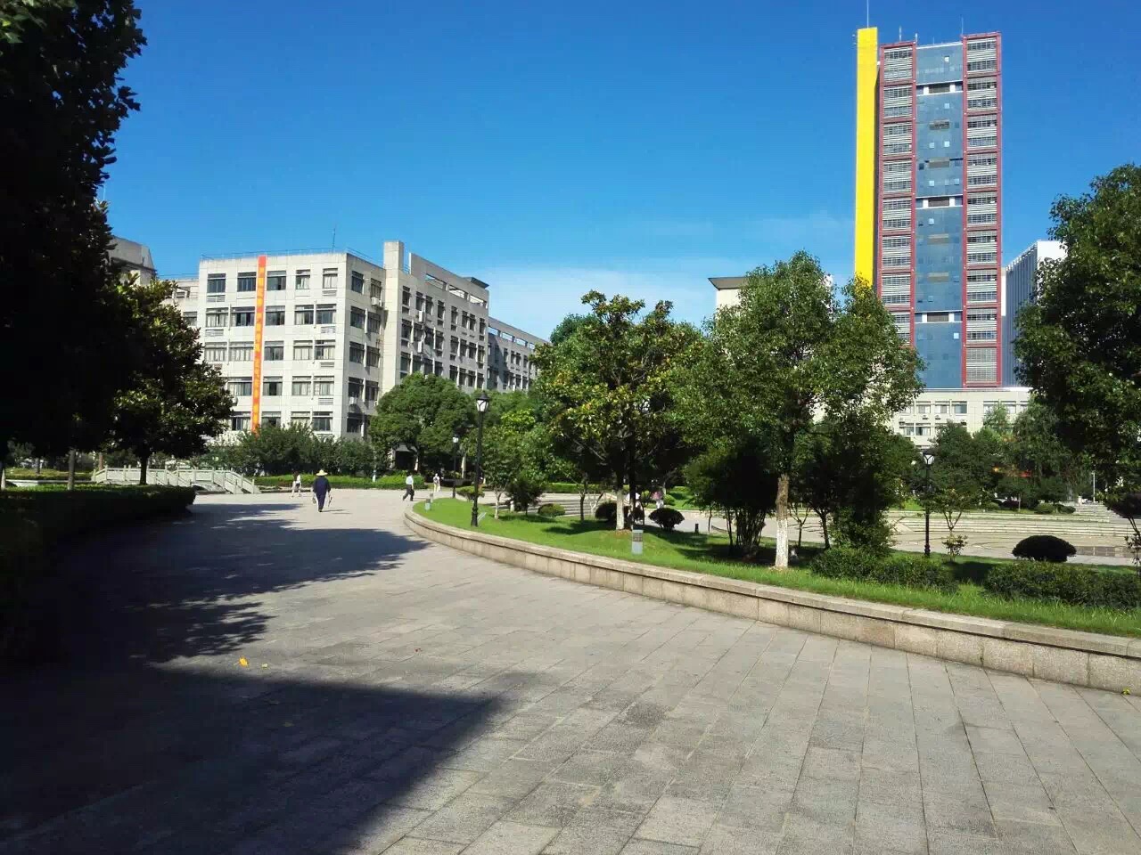 㽭ýѧԺɿ