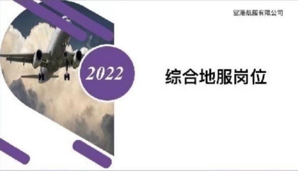 高薪高返费综合地服就业项目
